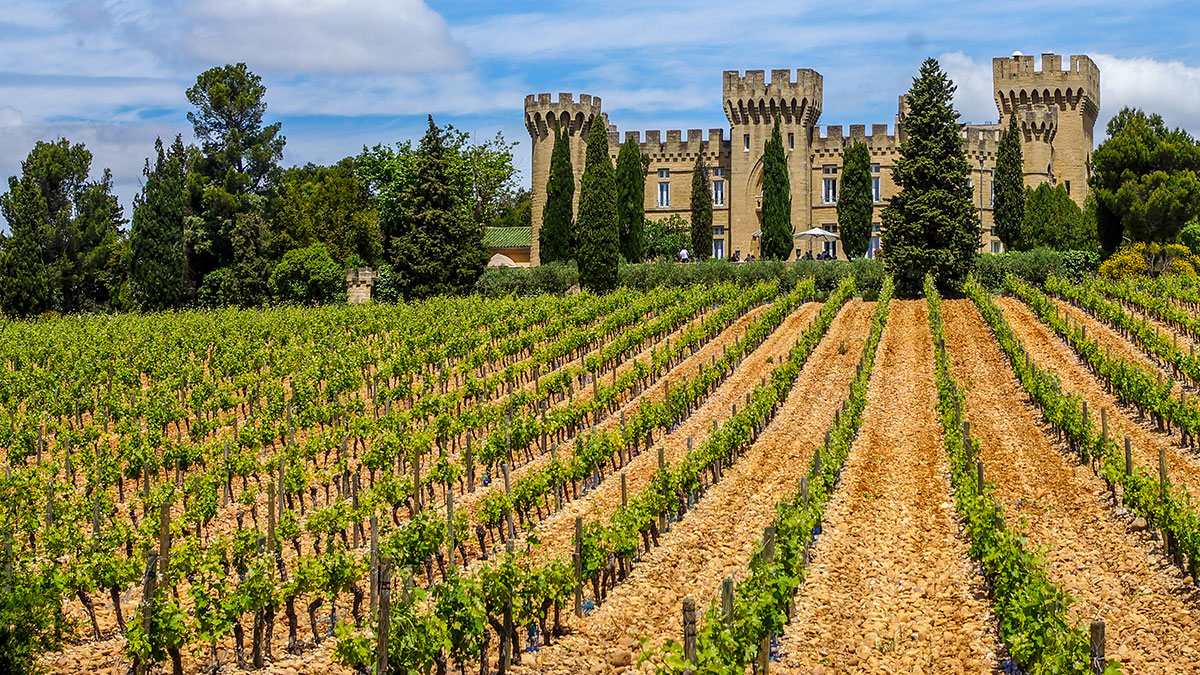 Châteauneuf du Pape Şarapları